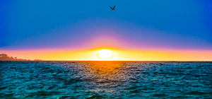 Ocean Sunset