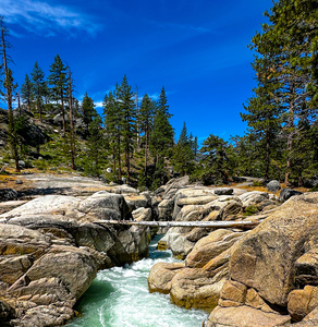 The River in the Woods