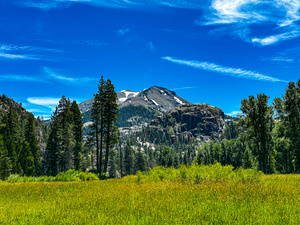 View from the Meadow