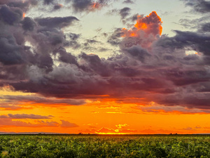 View from the fields