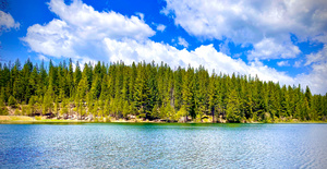 White Pines Lake
