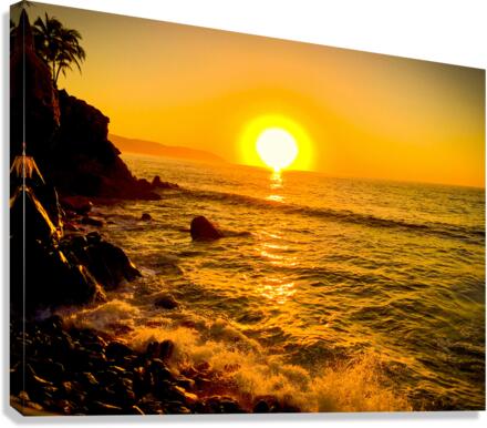 Tequila Sunset Canvas Print