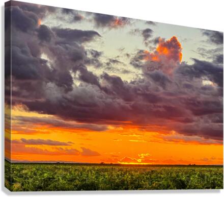View from the fields Canvas Print