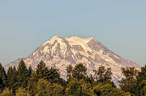 M07