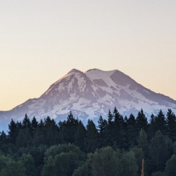 M11
