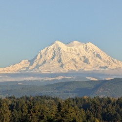 M13