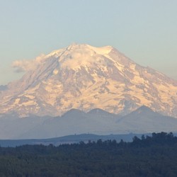 M15