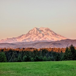 M02
