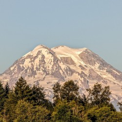 M07