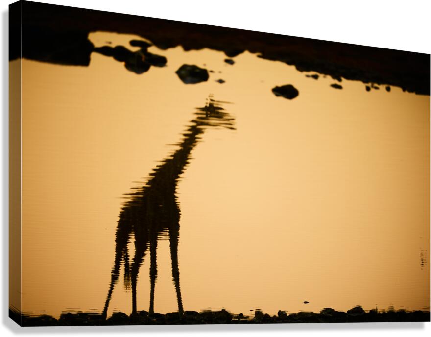 Reflection Canvas Print