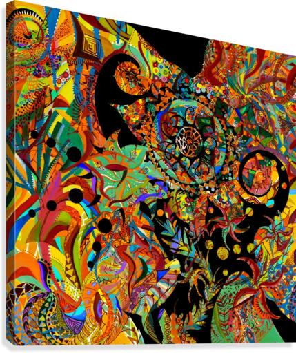 Vortex Canvas Print