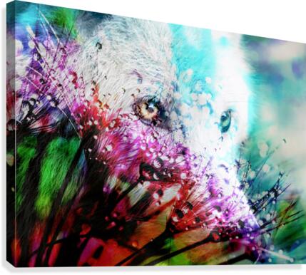 Metamorphose Canvas Print