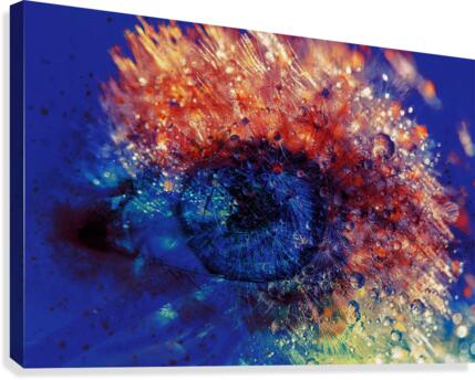 Vision Canvas Print
