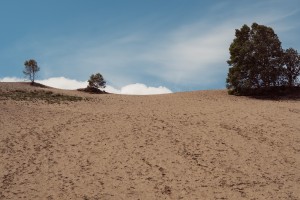 Dunes de Tadoussac