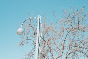 Printemps