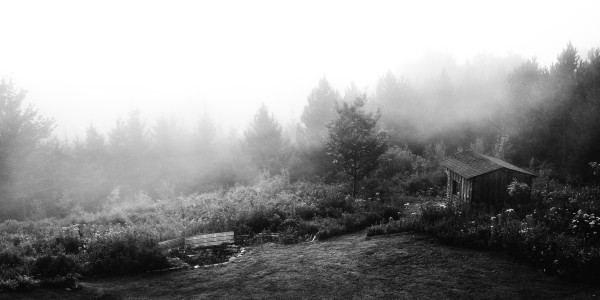 Brume matinale Print