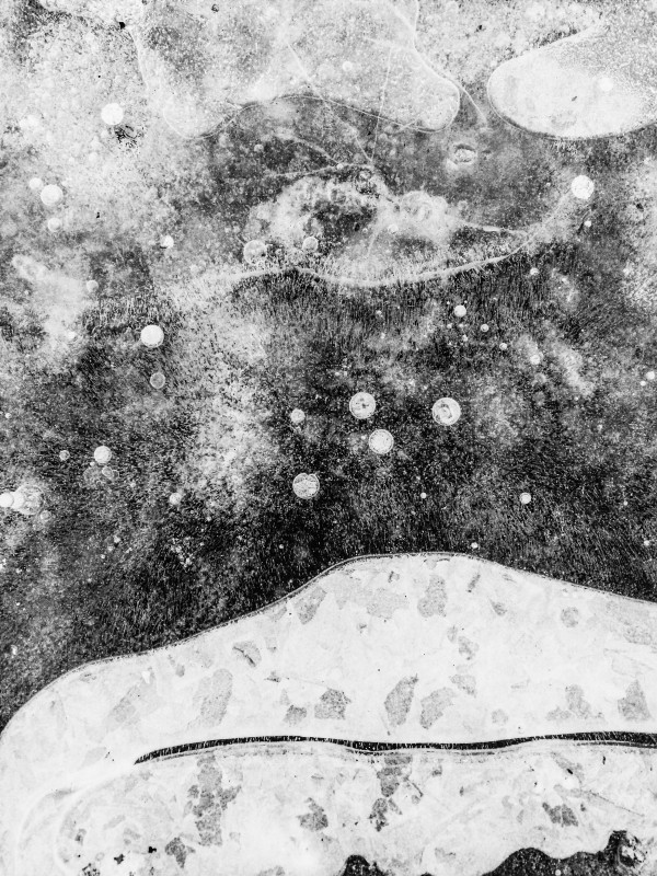 Vie de glace Print