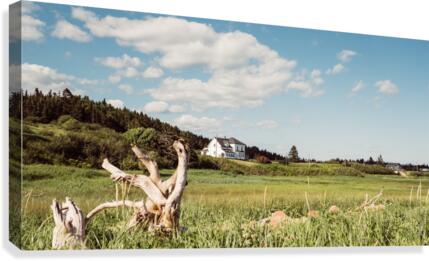 Waterside Beach Canvas Print