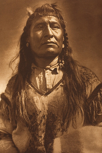 New Chest Piegan by Edward S. Curtis 1910