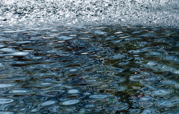 ChatPond6 Print