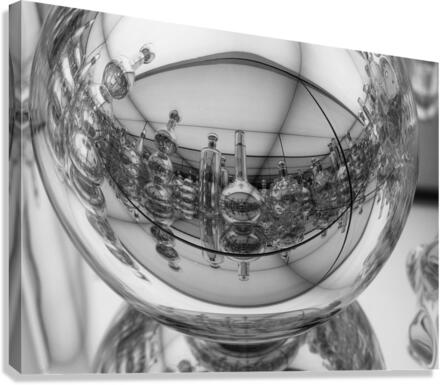 MilMOA Canvas Print