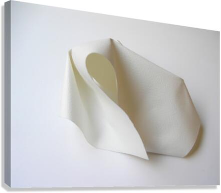PaperSculpt2 Canvas Print