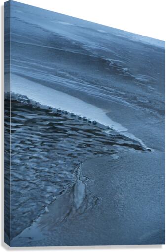 ChatPond2 Canvas Print