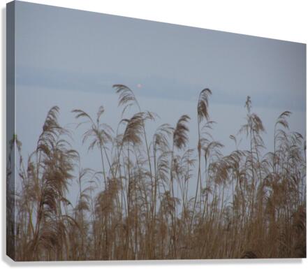 Garda  Canvas Print