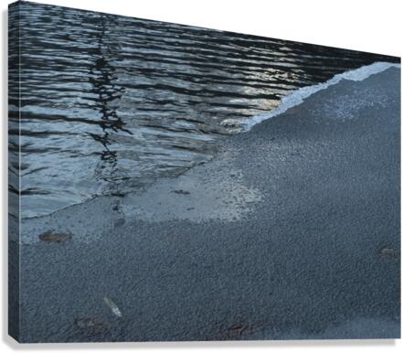 ChatPond3 Canvas Print