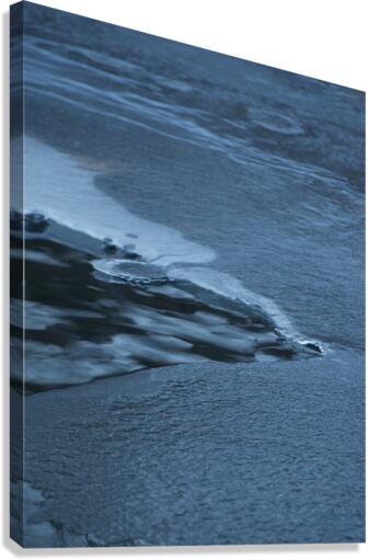 ChatPond4 Canvas Print