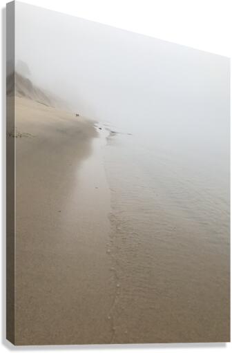 QuietLkMI Canvas Print