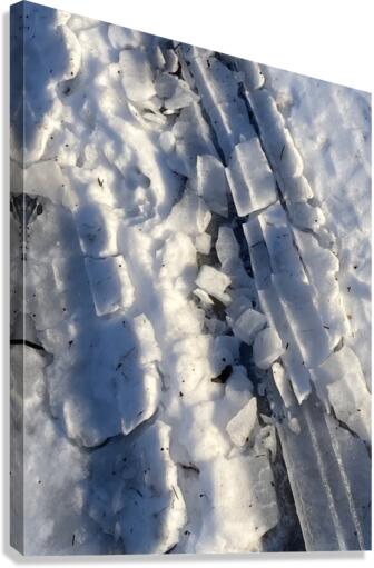 WinterWalk3 Canvas Print