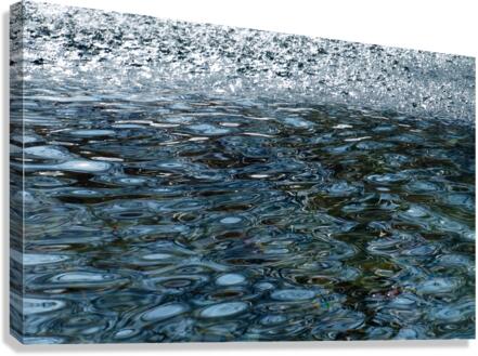 ChatPond6 Canvas Print