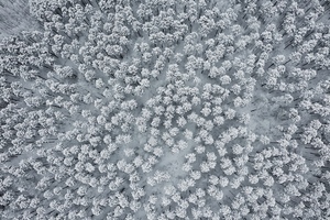 Winter in the Adirondacks