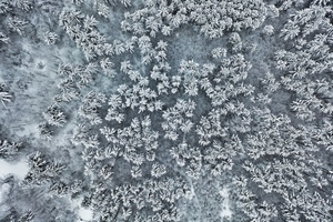 Winter in the Adirondacks
