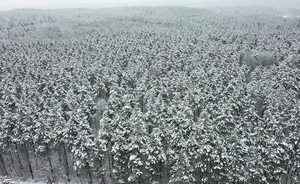 Winter in the Adirondacks
