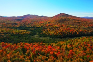 Fall in the Adirondacks 