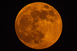 Super Flower Blood Moon 5-25-21