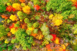 Fall in the Adirondacks