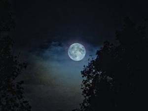 10-20-21 Full Hunter’s Moon