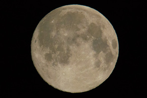 Photo Mar 28  04 48 46