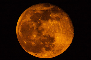 Photo Mar 29  21 35 51