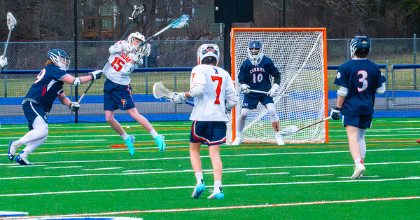 Potsdam Lacrosse Print