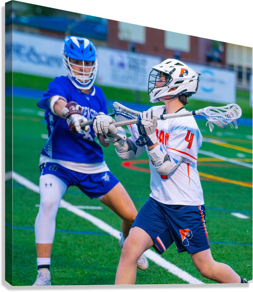  DSC3015 Enhanced NR Canvas Print