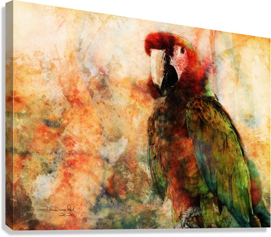 Parrot Canvas Print