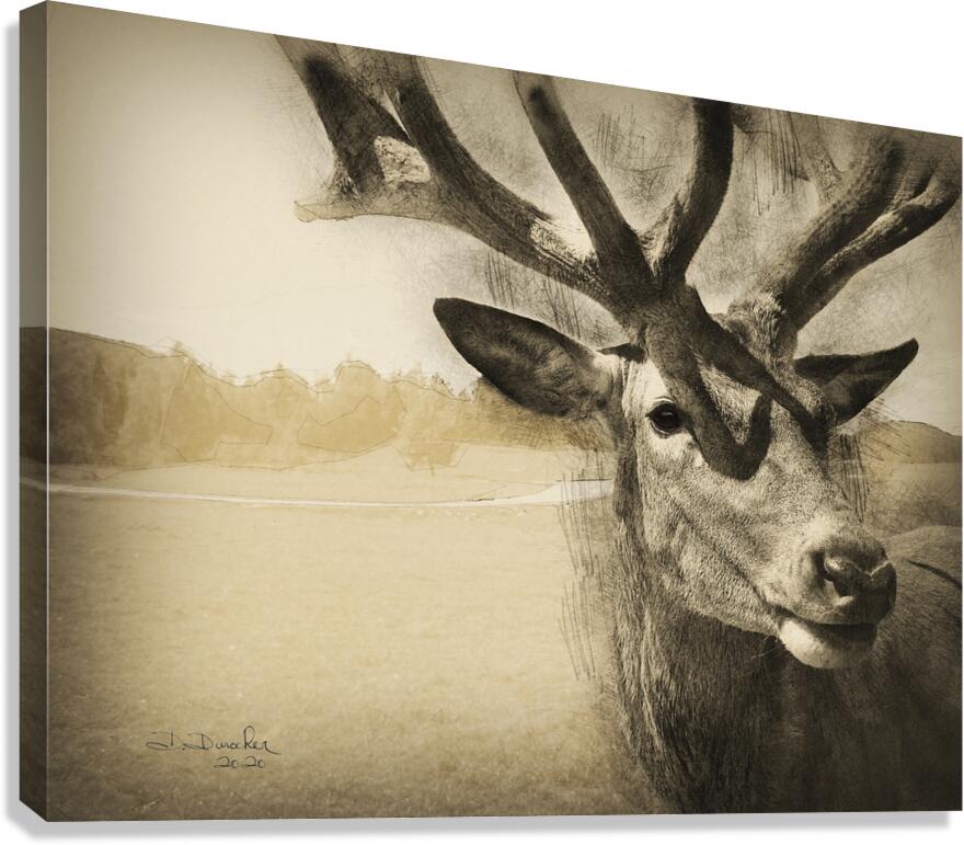 The Watcher Canvas Print