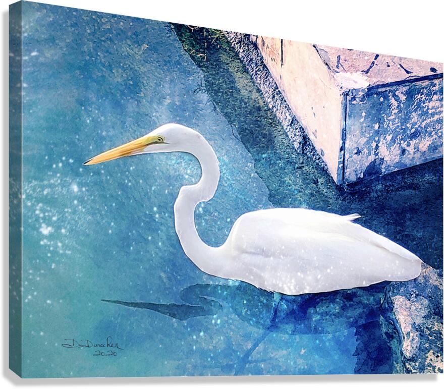 Egret Canvas Print