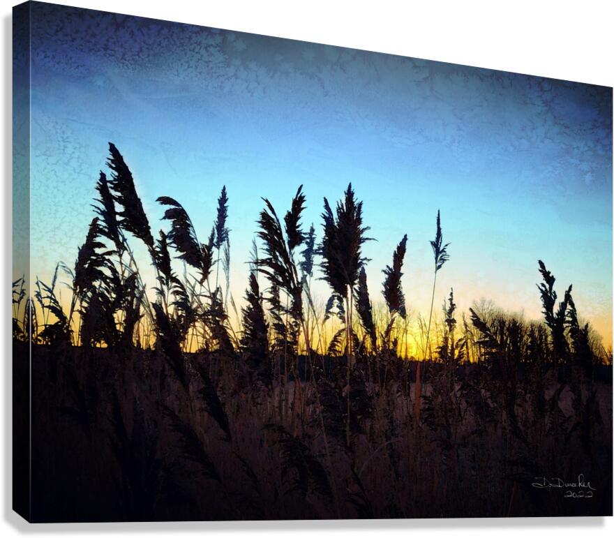 Sunrise Canvas Print