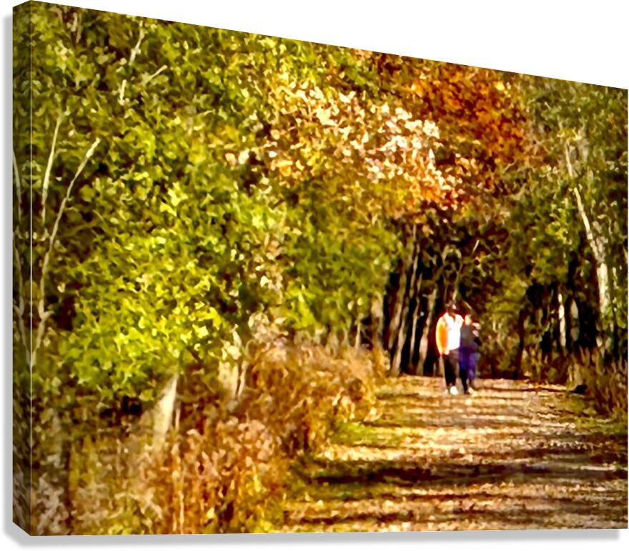 IMG 1699 Canvas Print