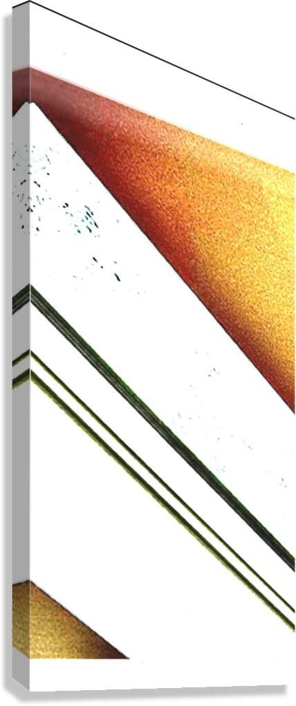 IMG 2132 Canvas Print